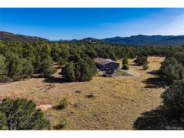 47 Bob Richards Dr, Cotopaxi, CO 81223