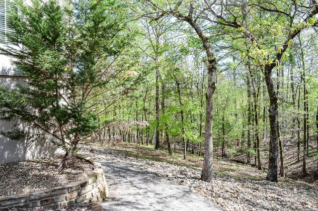 29 Perfecto Way, Hot Springs Village, AR 71909