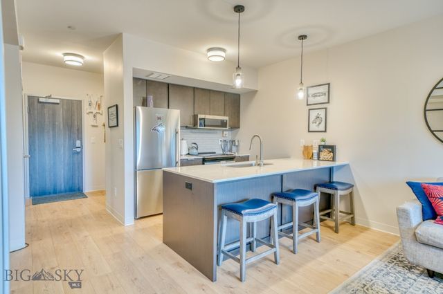 718 W Babcock Street 411, Bozeman, MT 59715
