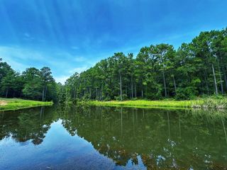 3055 Cr 274, Buffalo, TX 75831