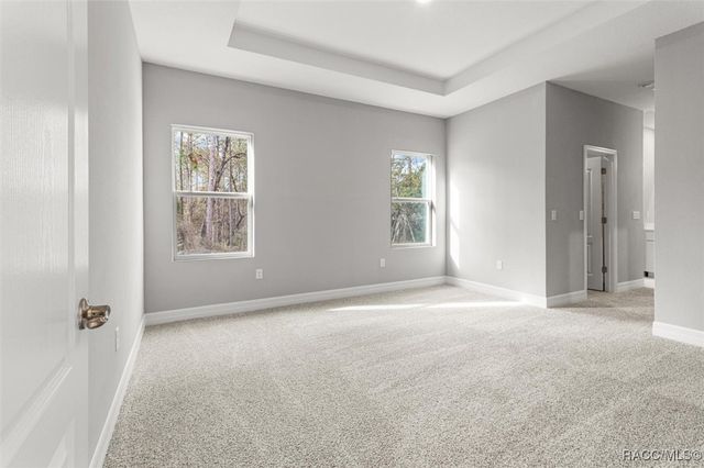 9 Fringetree Street, Homosassa, FL 34446