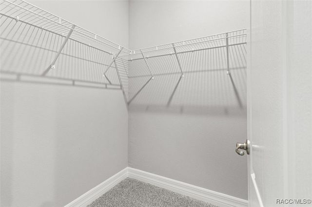 9 Fringetree Street, Homosassa, FL 34446