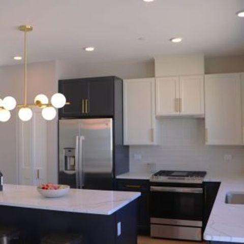 310 Lincoln Street 310, Mount Prospect, IL 60056