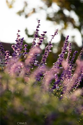 1659 W Knapp, Vista, CA 92083