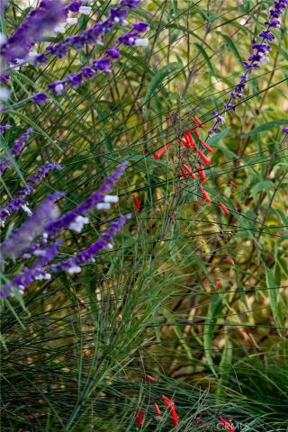 1659 W Knapp, Vista, CA 92083