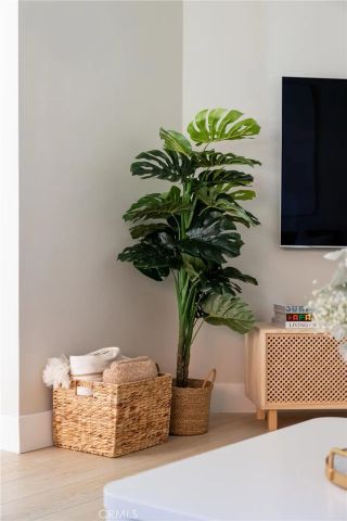 1659 W Knapp, Vista, CA 92083