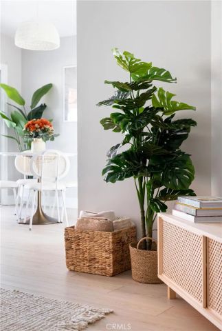 1659 W Knapp, Vista, CA 92083