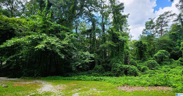 21192 BRENDA DRIVE, Lakeview, AL 35111