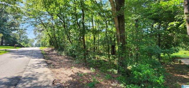21192 BRENDA DRIVE, Lakeview, AL 35111