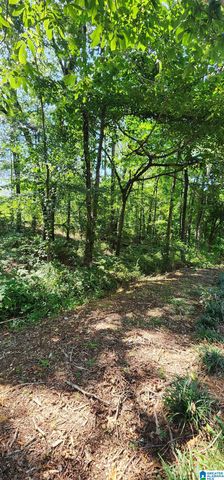 21192 BRENDA DRIVE, Lakeview, AL 35111