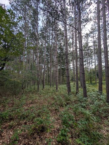 21567 Joplin Street NW, Elk River, MN 55330