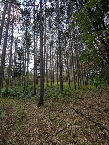 21567 Joplin Street NW, Elk River, MN 55330