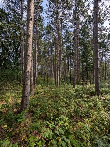 21567 Joplin Street NW, Elk River, MN 55330