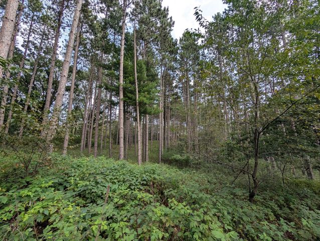 21567 Joplin Street NW, Elk River, MN 55330
