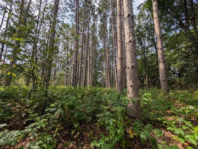 21567 Joplin Street NW, Elk River, MN 55330
