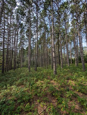 21567 Joplin Street NW, Elk River, MN 55330