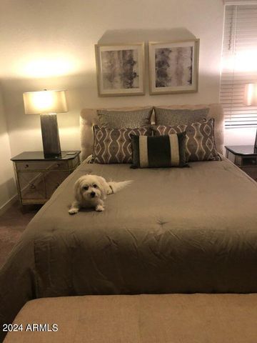 1784 S Senate Street, Chandler, AZ 85286