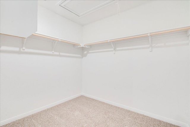 264 Denali DR, Kyle, TX 78640