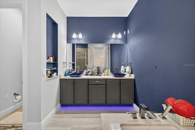 1224 ACAPPELLA LANE, Apollo Beach, FL 33572