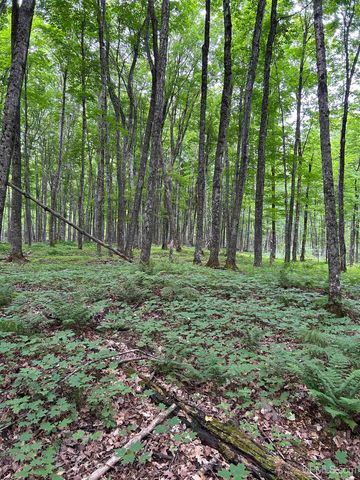 1165 Coaster Road, Trenary, MI 49891