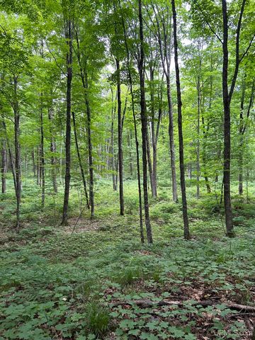 1165 Coaster Road, Trenary, MI 49891