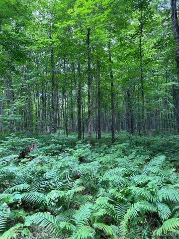 1165 Coaster Road, Trenary, MI 49891