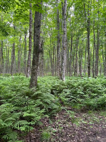 1165 Coaster Road, Trenary, MI 49891