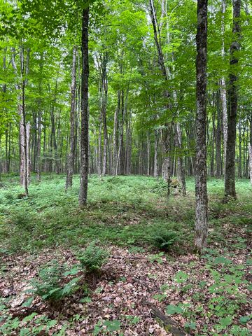 1165 Coaster Road, Trenary, MI 49891