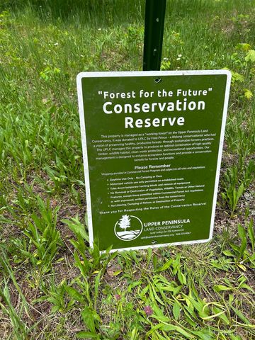 1165 Coaster Road, Trenary, MI 49891