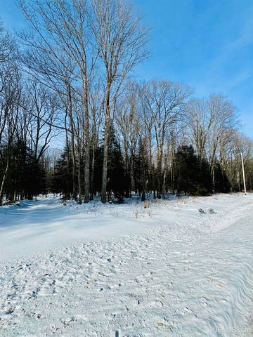 1165 Coaster Road, Trenary, MI 49891