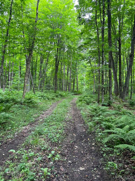 1165 Coaster Road, Trenary, MI 49891