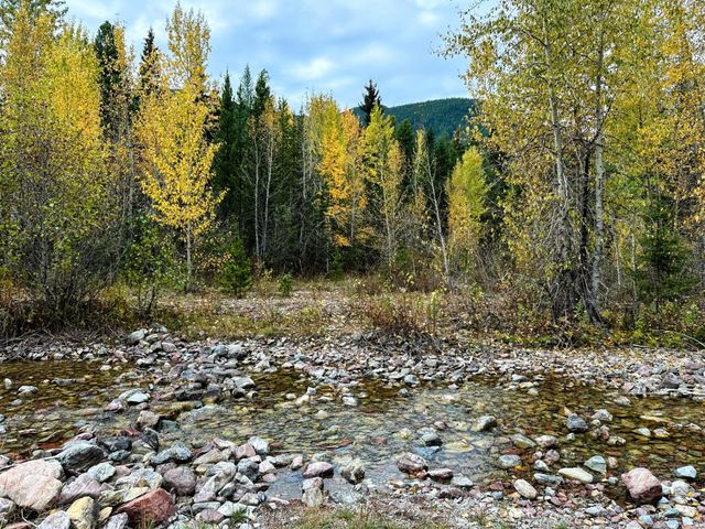 NHN Giefer Creek Road, Essex, MT 59916 property photo