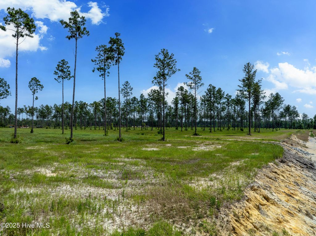 Image 10 of property listing at Lot 25 Cattle Drive, Rocky Point, NC 28457