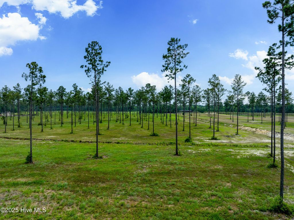 Image 12 of property listing at Lot 25 Cattle Drive, Rocky Point, NC 28457