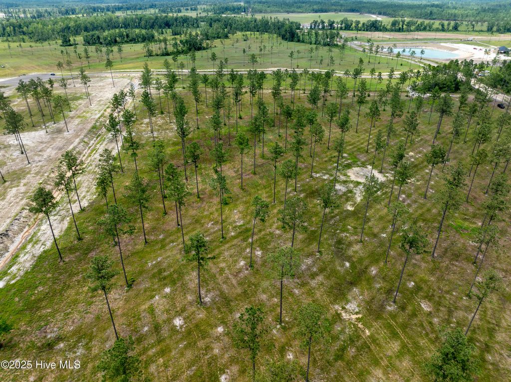 Image 16 of property listing at Lot 25 Cattle Drive, Rocky Point, NC 28457