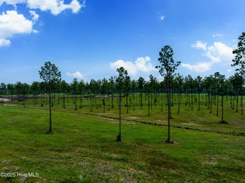 Image 17 of property listing at Lot 25 Cattle Drive, Rocky Point, NC 28457