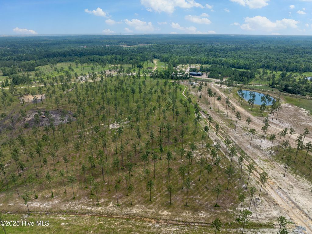 Image 19 of property listing at Lot 25 Cattle Drive, Rocky Point, NC 28457
