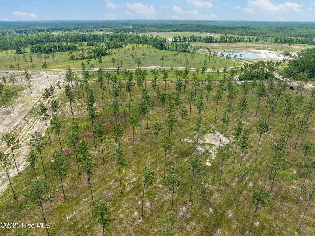 Image 20 of property listing at Lot 25 Cattle Drive, Rocky Point, NC 28457