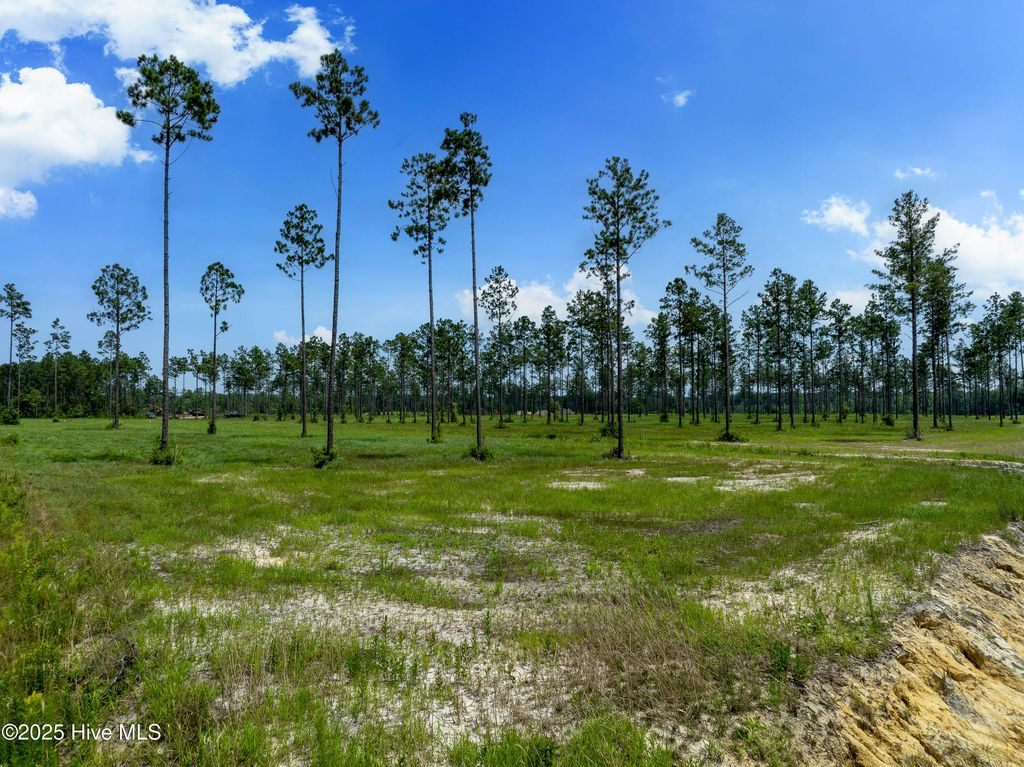 Image 21 of property listing at Lot 25 Cattle Drive, Rocky Point, NC 28457