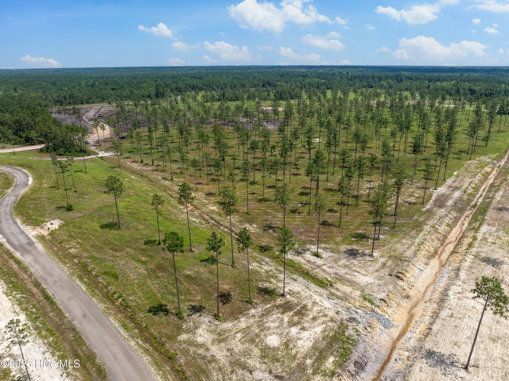 Image 22 of property listing at Lot 25 Cattle Drive, Rocky Point, NC 28457
