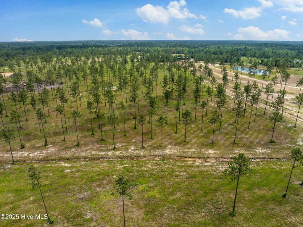 Image 3 of property listing at Lot 25 Cattle Drive, Rocky Point, NC 28457