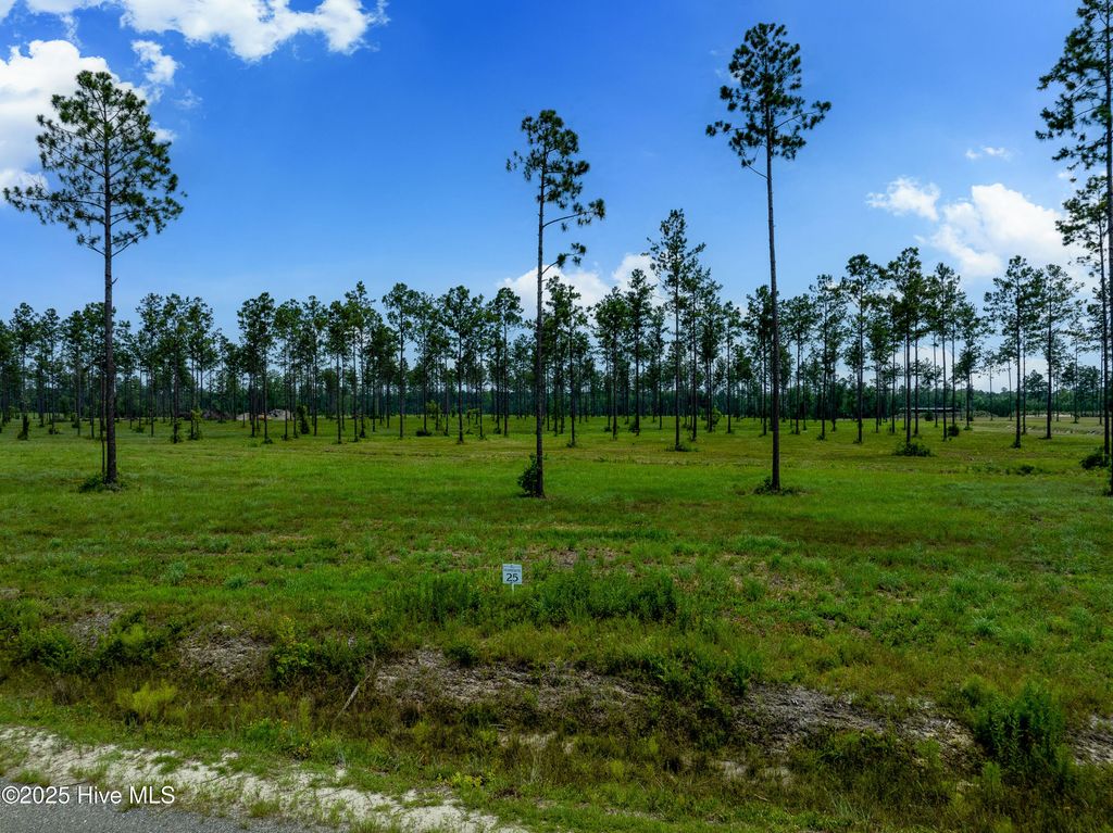 Image 5 of property listing at Lot 25 Cattle Drive, Rocky Point, NC 28457