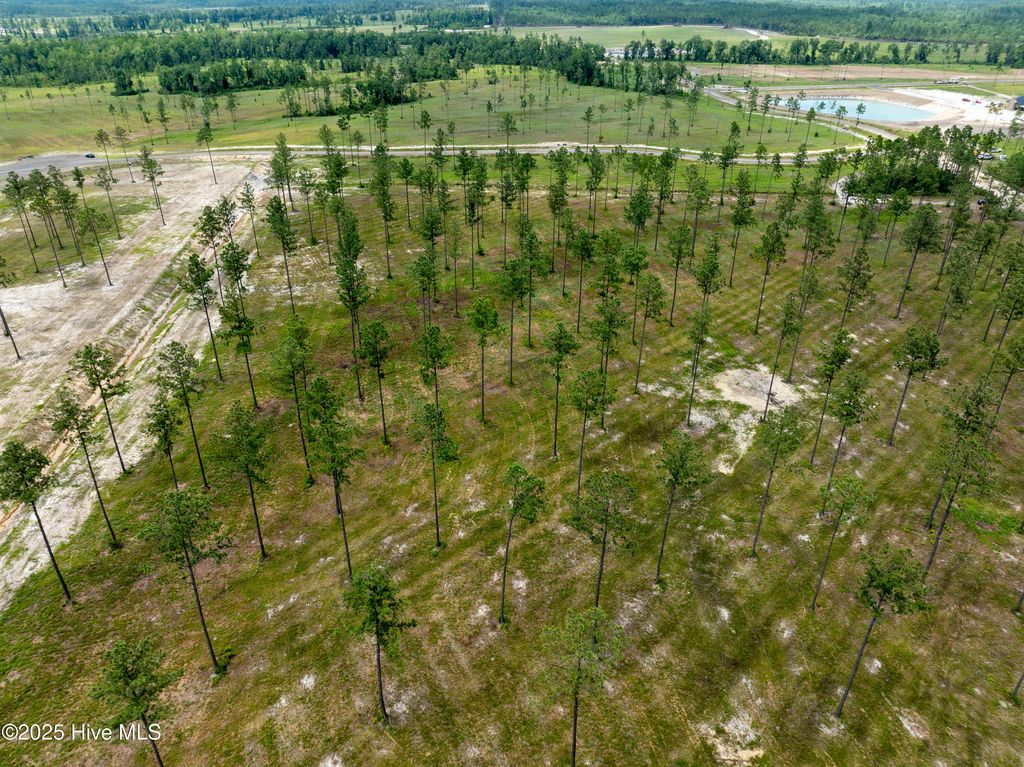 Image 7 of property listing at Lot 25 Cattle Drive, Rocky Point, NC 28457