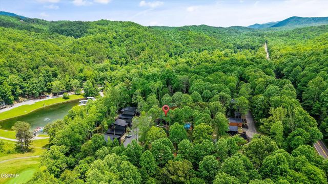 4142 Fontaine Way, Gatlinburg, TN 37738