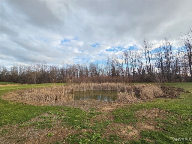 16530 Woodchuck, Kendall, NY 14476