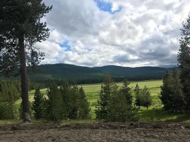 Tract 2 McGregors Meadow Road W, Marion, MT 59925