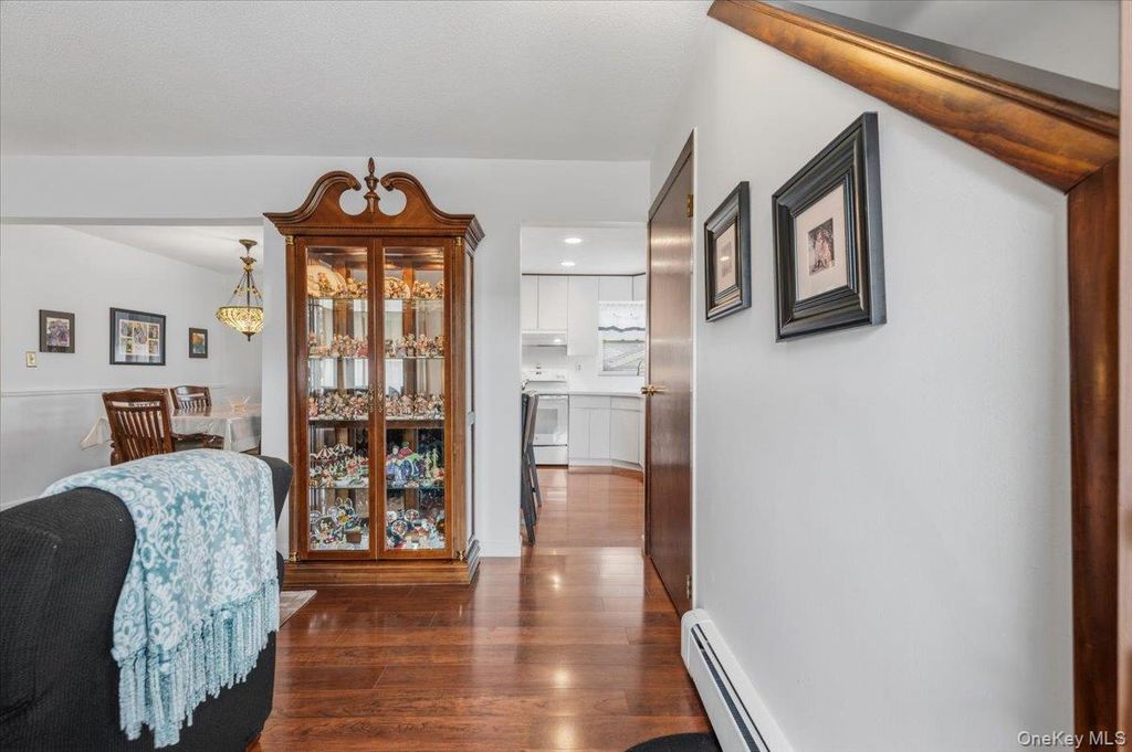 210 N 5th Street, Bethpage, NY 11714 — photo 4