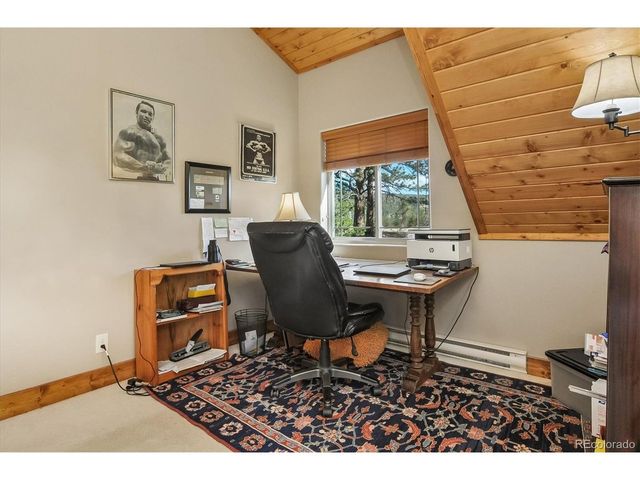 16602 County Road 289, Nathrop, CO 81236