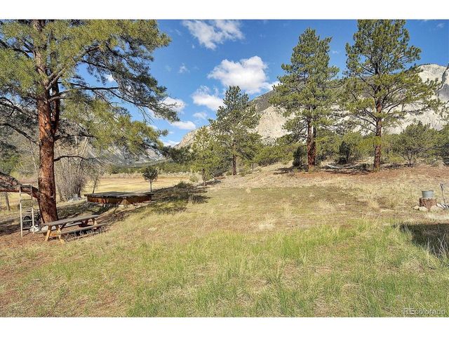 16602 County Road 289, Nathrop, CO 81236
