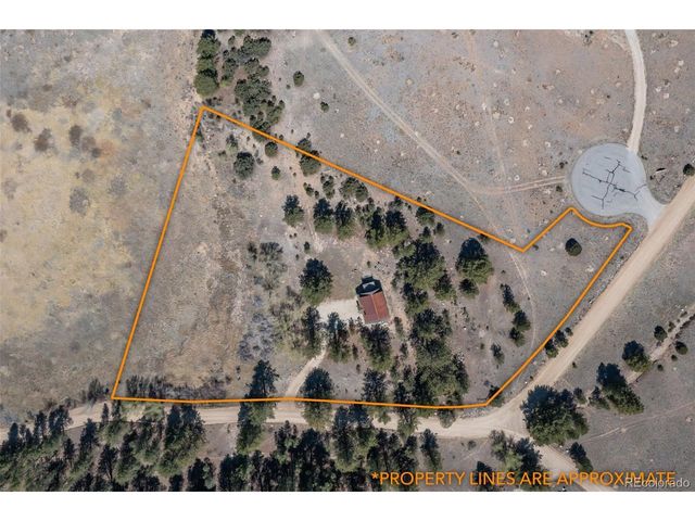 16602 County Road 289, Nathrop, CO 81236